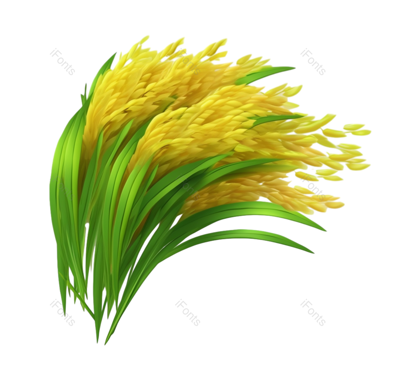 芒种图片,麦子元素,麦穗PNG,谷物免抠素材
